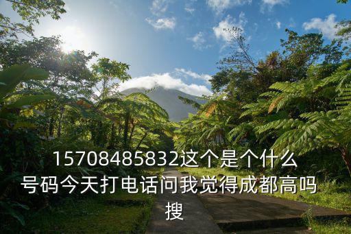 成都市國投公司電話，請問成都人民南路4段48號首座C座17樓 是什么公司 名字