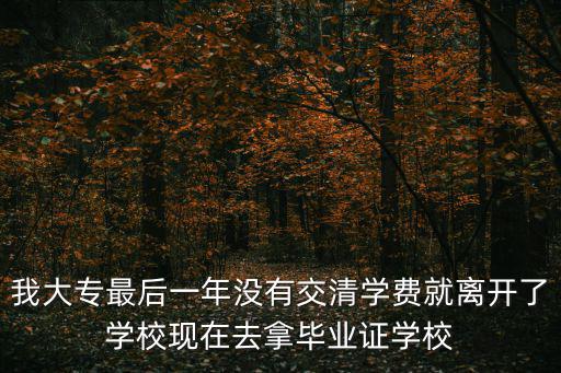 我大專最后一年沒有交清學費就離開了學校現在去拿畢業證學校