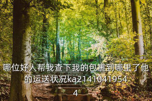 哪位好人幫我查下我的包裹到哪里了他的運送狀況ka21410419544