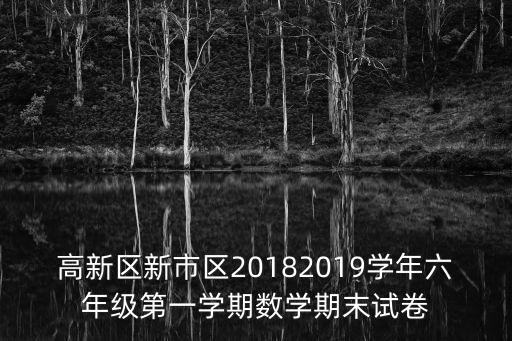 高新區新市區20182019學年六年級第一學期數學期末試卷