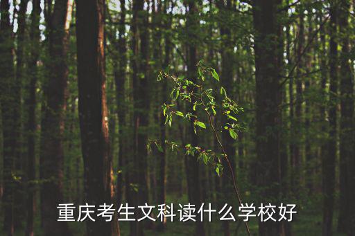 重慶考生文科讀什么學校好