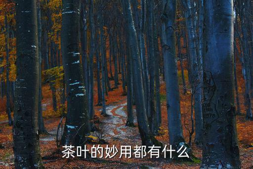 茶葉的妙用都有什么