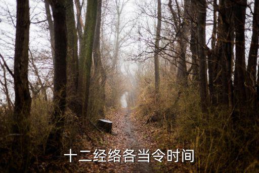 十二經絡各當令時間