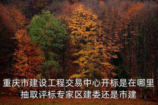 重慶市建設工程交易中心開標是在哪里抽取評標專家區建委還是市建