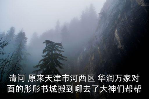 天津市河西區云吞，天津哪有餛飩皮