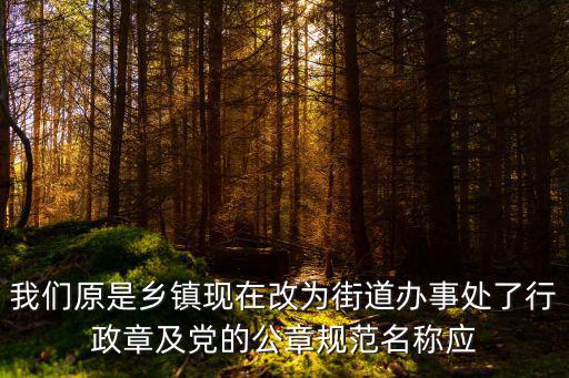 我們原是鄉鎮現在改為街道辦事處了行政章及黨的公章規范名稱應