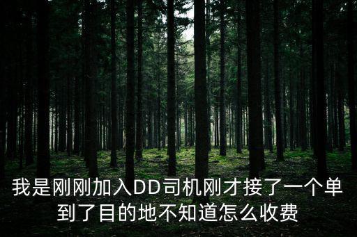 我是剛剛加入DD司機剛才接了一個單到了目的地不知道怎么收費