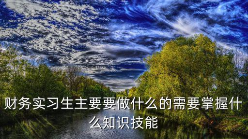 財(cái)務(wù)實(shí)習(xí)生主要要做什么的需要掌握什么知識(shí)技能