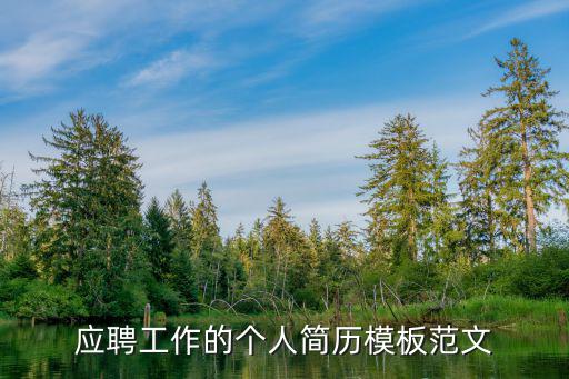 應聘工作的個人簡歷模板范文