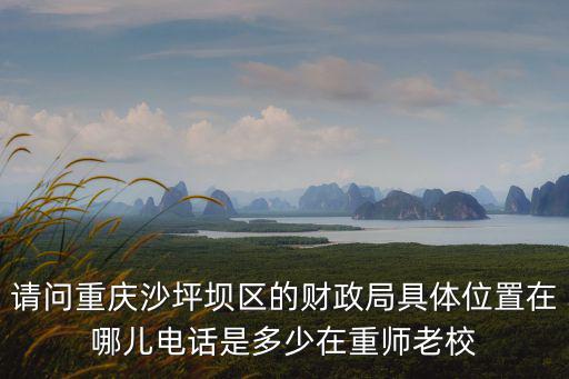 重慶市沙坪壩財政局服務電話，重慶市財政局投訴電話是多少