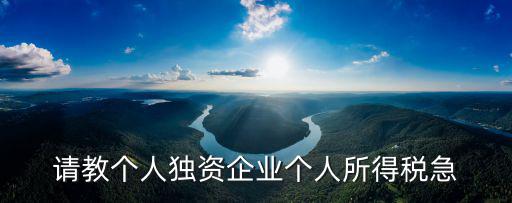 成都市個人獨資企業(yè)稅收政策，請教個人獨資企業(yè)個人所得稅急