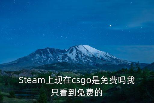 Steam上現在csgo是免費嗎我只看到免費的