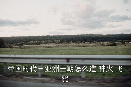 帝國時代三亞洲王朝怎么造 神火 飛鴉