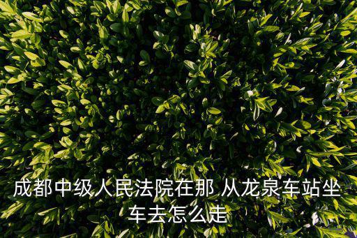 成都市中級法院坐幾號線，成都中級人民法院在那 從龍泉車站坐車去怎么走