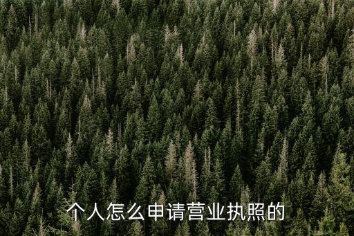 個人怎么申請營業執照的