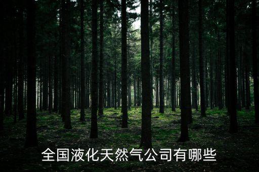重慶市莆田鞋廠，佳通輪胎有幾個分廠