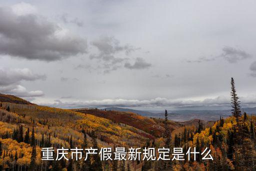 重慶市產假最新規定是什么