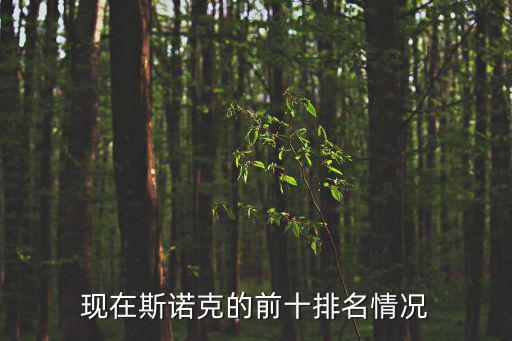 現在斯諾克的前十排名情況