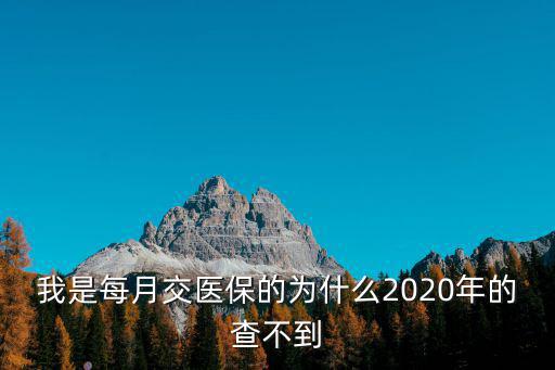 我是每月交醫保的為什么2020年的查不到