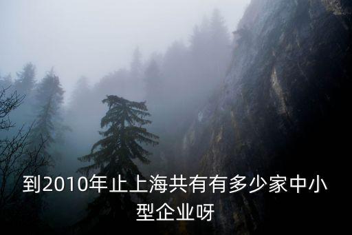 到2010年止上海共有有多少家中小型企業呀