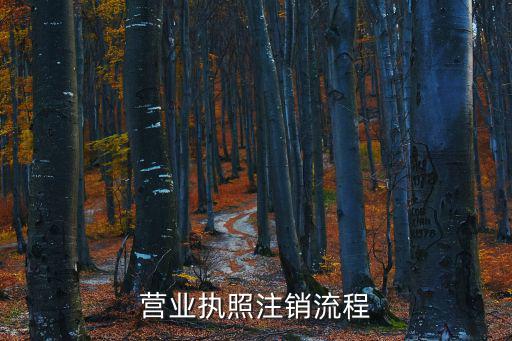 營業(yè)執(zhí)照注銷流程