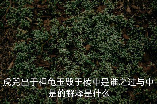 虎兕出于柙龜玉毀于櫝中是誰之過與中 是的解釋是什么