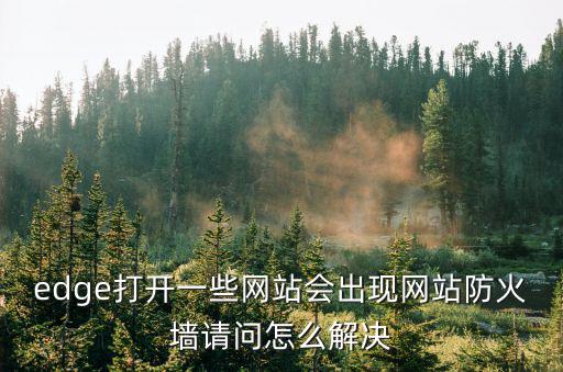 edge打開(kāi)一些網(wǎng)站會(huì)出現(xiàn)網(wǎng)站防火墻請(qǐng)問(wèn)怎么解決