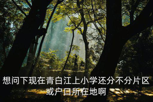 想問(wèn)下現(xiàn)在青白江上小學(xué)還分不分片區(qū)或戶口所在地啊