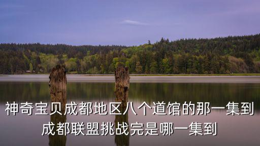 神奇寶貝成都地區八個道館的那一集到成都聯盟挑戰完是哪一集到
