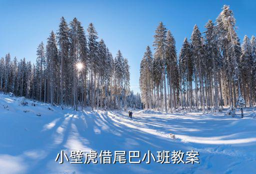 小壁虎借尾巴教案，小壁虎借尾巴小班教案