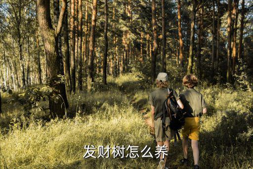 發財樹怎么養