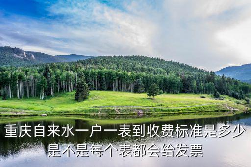重慶自來水一戶一表到收費標準是多少是不是每個表都會給發票