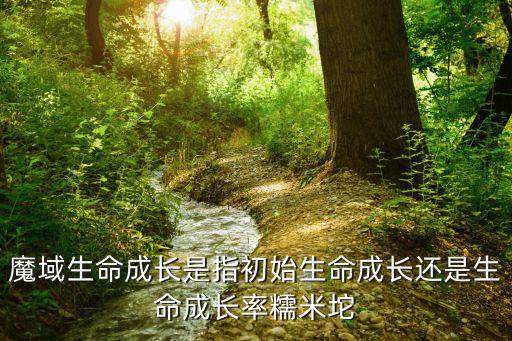 魔域生命成長是指初始生命成長還是生命成長率糯米坨