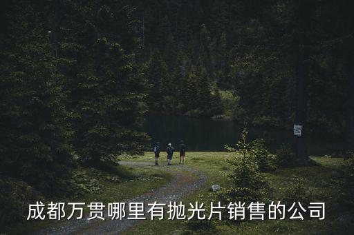 成都萬貫哪里有拋光片銷售的公司