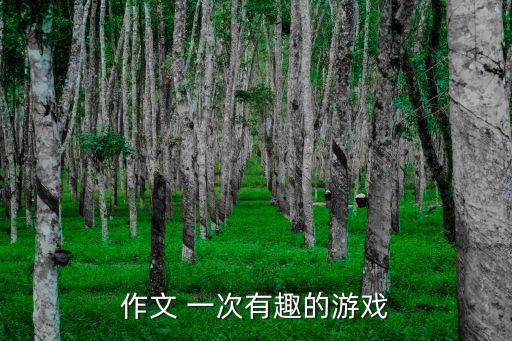 作文 一次有趣的游戲