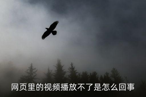 網(wǎng)頁里的視頻播放不了是怎么回事
