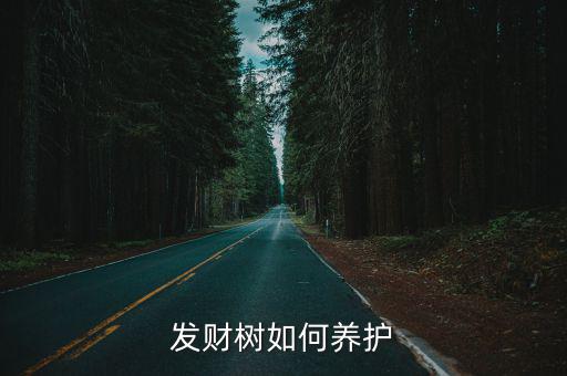 發財樹如何養護