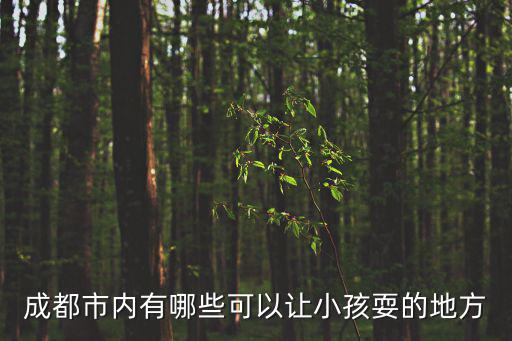 成都市內(nèi)有哪些免費(fèi)兒童樂園，成都兒童游玩園在哪兒