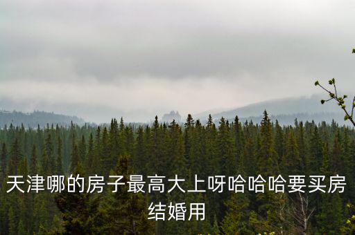 天津哪的房子最高大上呀哈哈哈要買房結婚用