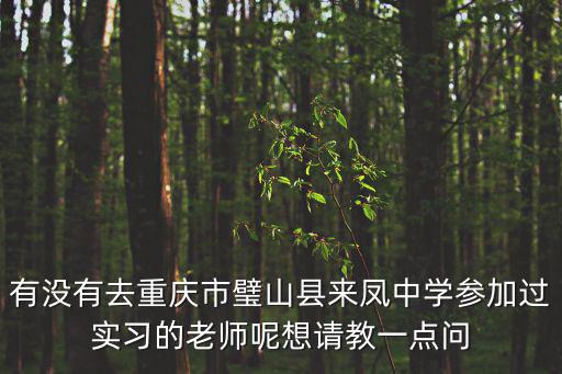 有沒有去重慶市璧山縣來鳳中學參加過實習的老師呢想請教一點問