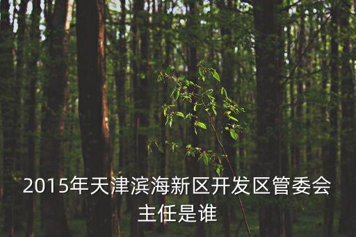 2015年天津濱海新區開發區管委會主任是誰