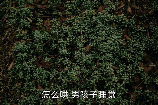 怎么哄男孩子,如何哄男孩子睡覺?