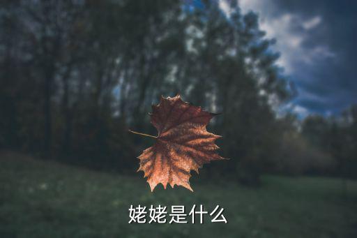 姥姥，姥姥是什么