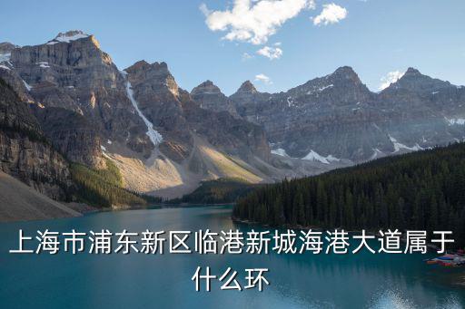 上海浦東新區臨港新城，臨港新城是哪個區的