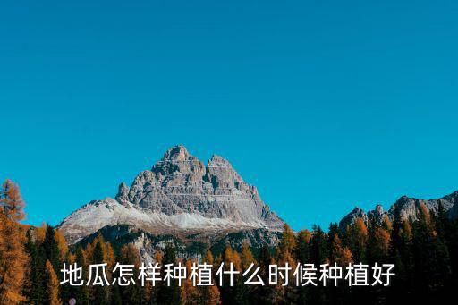 地瓜怎樣種植什么時候種植好