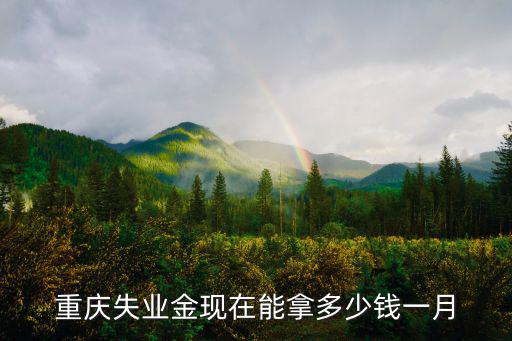 重慶失業(yè)金現(xiàn)在能拿多少錢一月