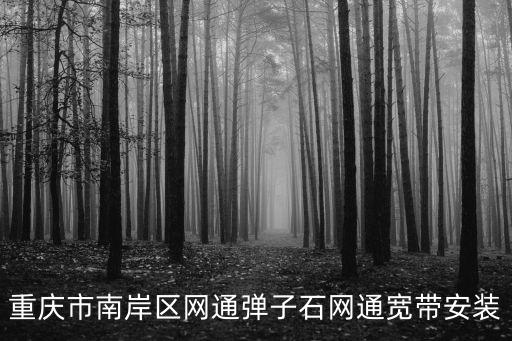重慶市南岸區(qū)網(wǎng)通彈子石網(wǎng)通寬帶安裝