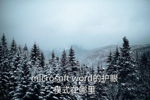 microsoft word的護眼模式在哪里