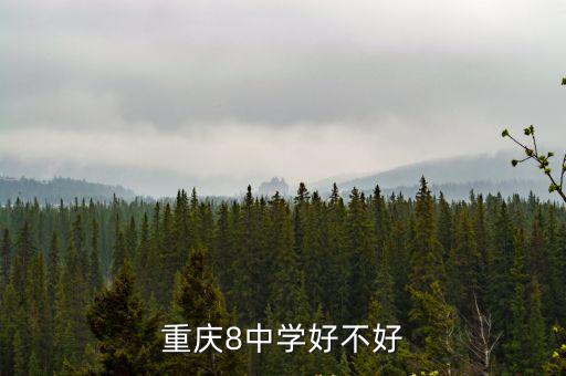 重慶8中學(xué)好不好