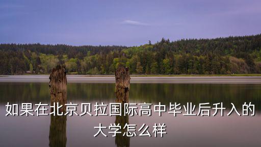 如果在北京貝拉國際高中畢業后升入的大學怎么樣